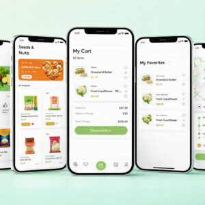 E-Commerce App Development (Best Offer)