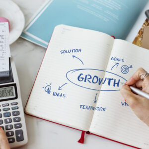 Business Growth Strategy Plan
