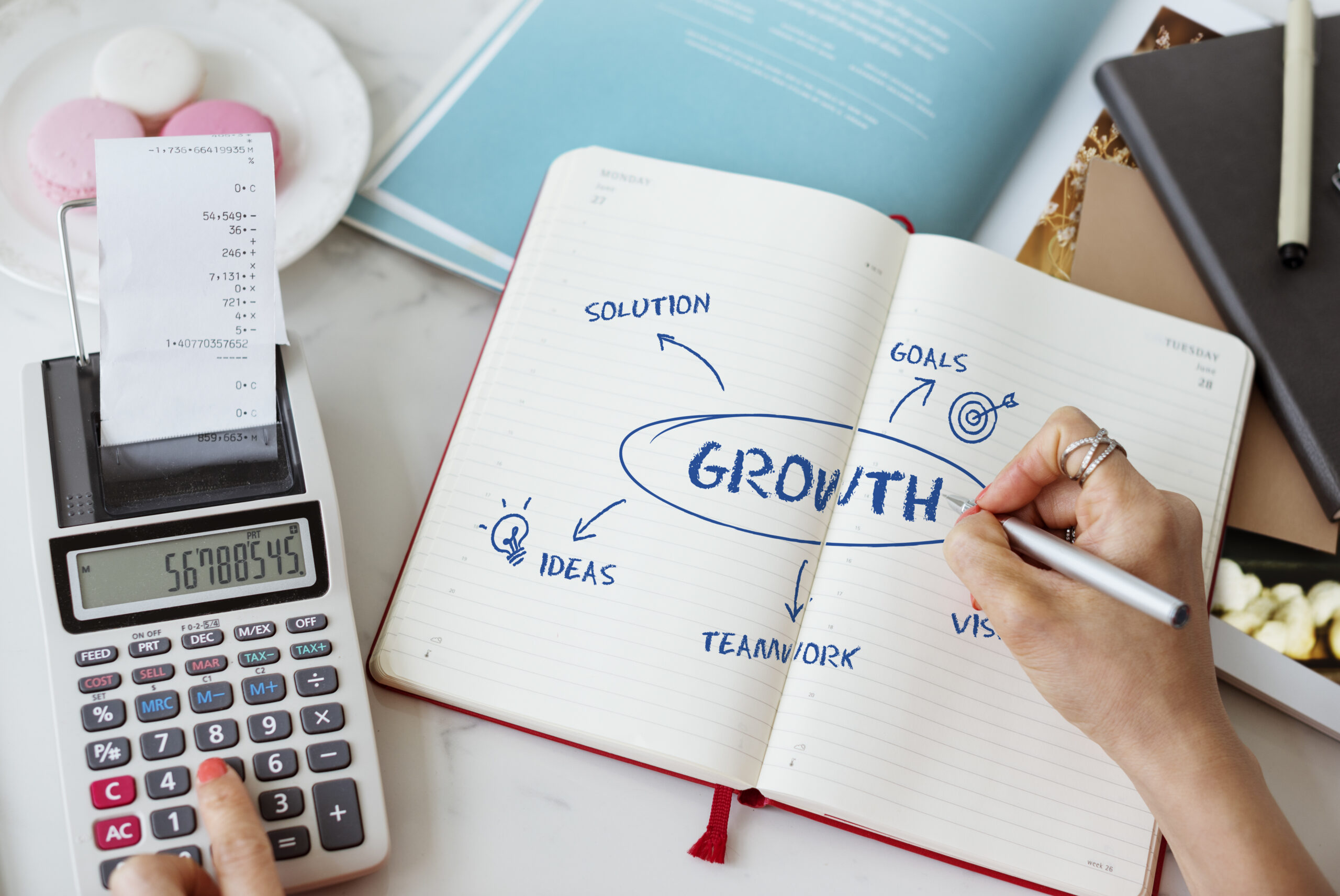 Business Growth Strategy Plan